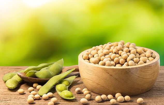 soybean diet nursing-resource