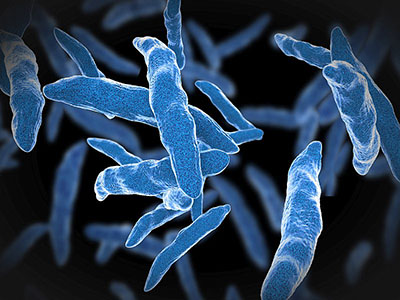 multidrug-resistant tuberculosis nursing-resource
